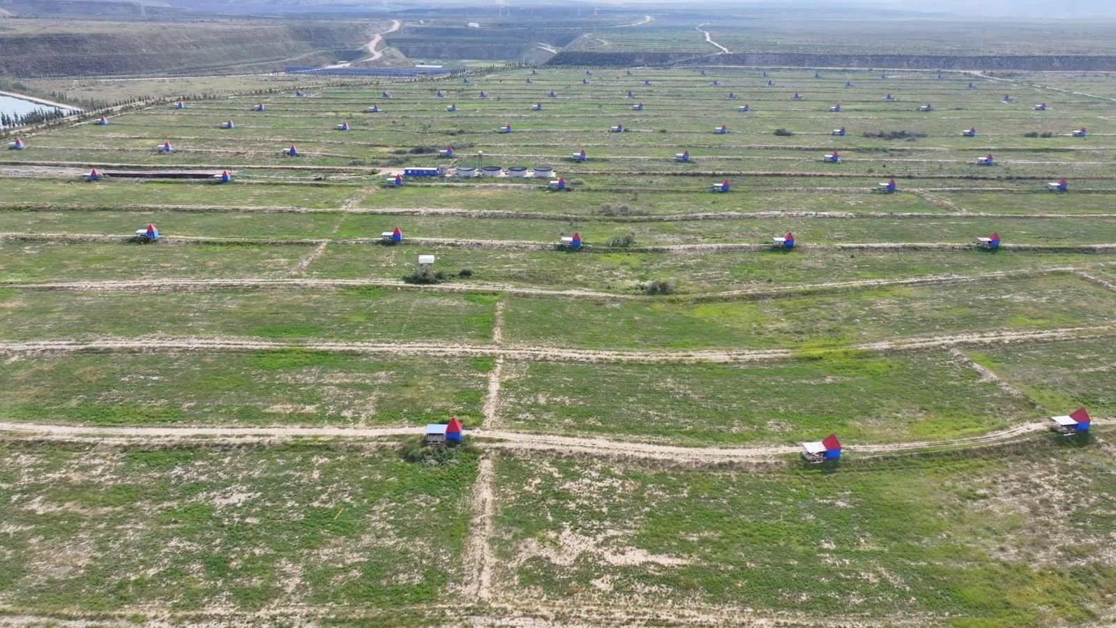 In the reclamation area, rows of chicken coops are neatly arranged, with tens of thousands of free-range ecological chickens roaming freely.